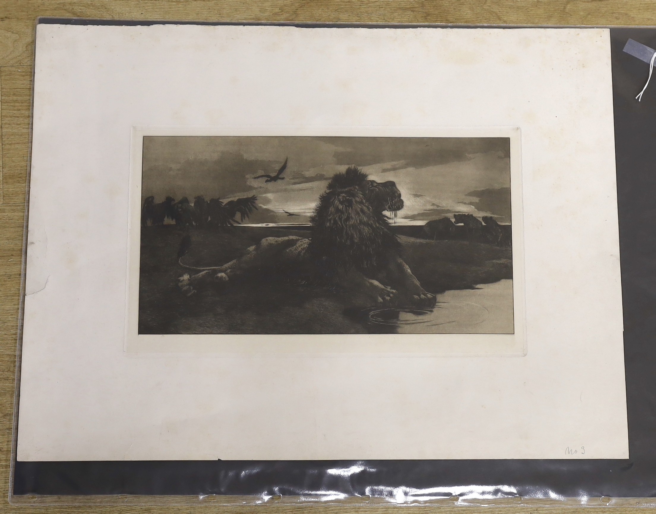Herbert Thomas Dicksee (1862-1942), etching, 'The Dying Lion', 25 x 47cm with full margins, unframed